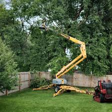 Best Lawn Grading and Leveling  in Deland Southwest, FL