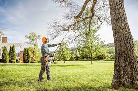  Deland Southwest, FL Tree Services Pros