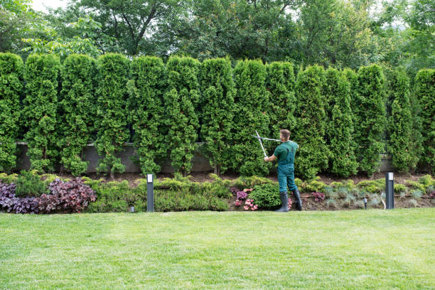 Best Tree Health Inspection  in Deland Southwest, FL