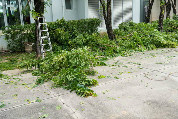 Best Fruit Tree Pruning  in Deland Southwest, FL